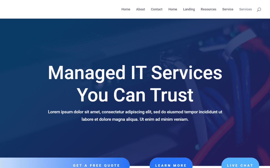 IT Services