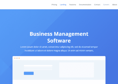 SaaS Company