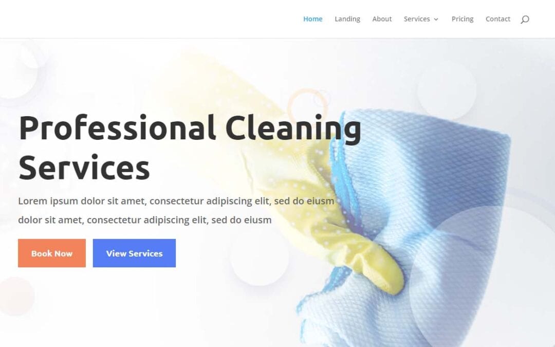 Cleaning Company